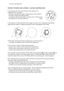 exercises-04-genetics-variation