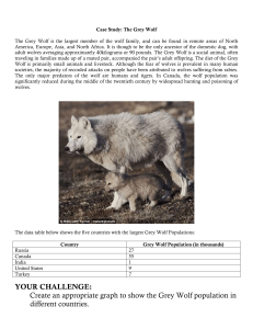 grey wolf case study