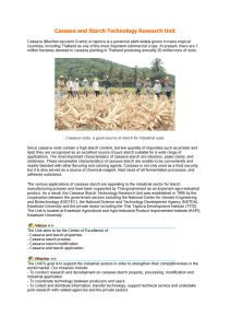 Cassava - Starch Technology research unit thailand