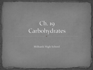 Ch. 19 Carbohydrates