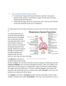 RESPIRATION