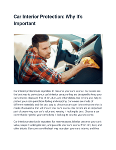 Car Interior Protection  Why It's Important