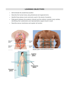 Anatomical Terminology   Anatomy and Physiology I