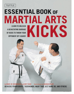 Martial Arts Kicking Techniques