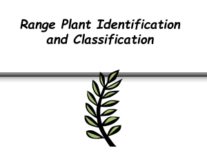 Range+Plant+Classification