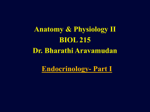 Endocrinology-Part 1(1)