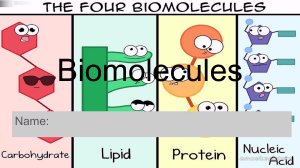 Biomolecules assingment 1