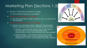 Marketing Plan full instructions