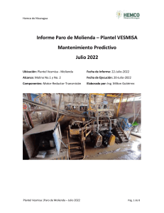 Informe Paro de Molinos Julio 2022- VESMISA - 220722
