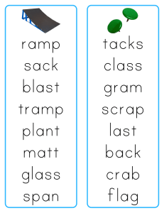 Elementary School Word List: Phonics & Vocabulary