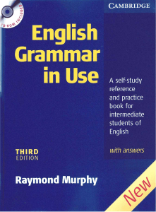 MURPHY English Grammar in Use with answers a self study 2004 FUNNY search GOOD Index