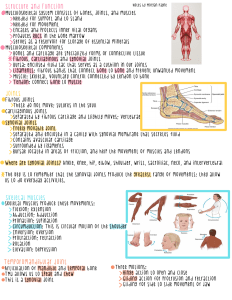 Health Assessment 2 Exam 2 Musculoskeletal System
