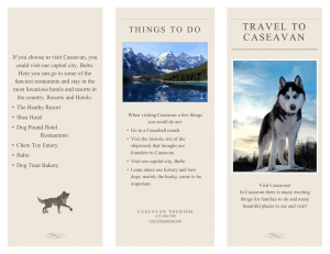 Caseavan Travel Brochure