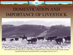 1 Importance of Livestock (1)