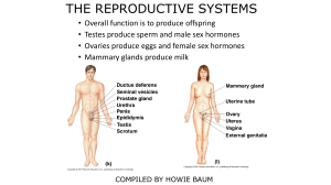 THE REPRODUCTION SYSTEMS