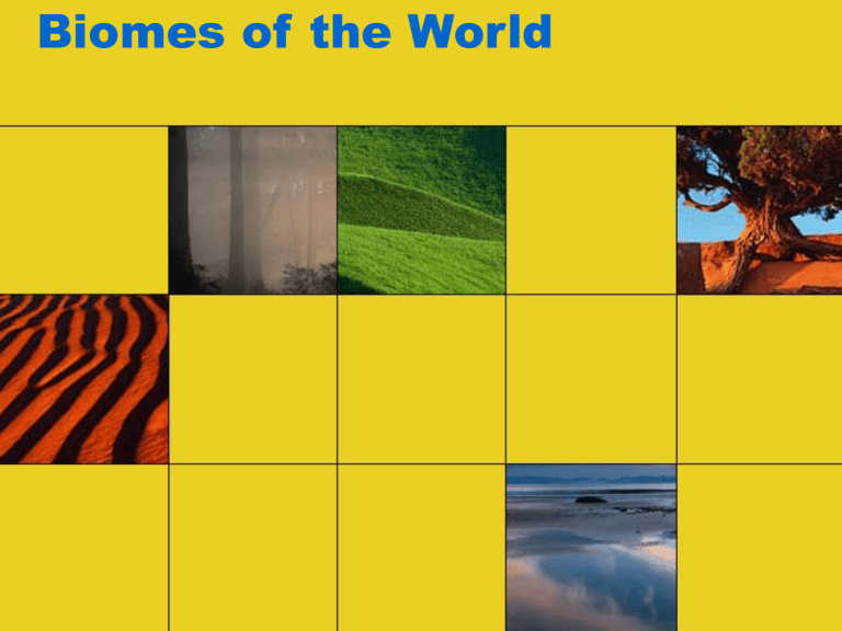 biomes