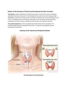 Thyroid and Parathyroid Glands 