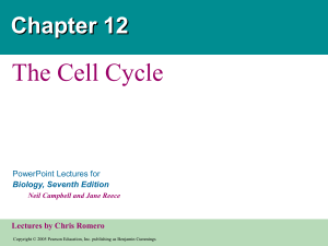 Cell Cycle - Biology - chapter12