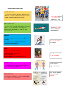 Components of Physical Fitness Recap Sheet
