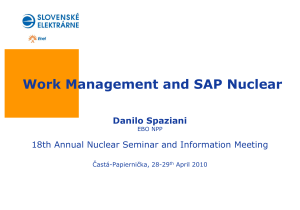 000 2010 Work Management and SAP Nuclear