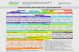 ACSCB LangChinPoster