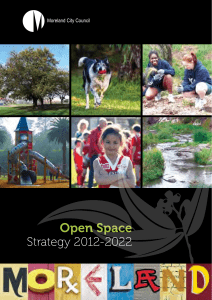 open-space-strategy-2012-22-moreland