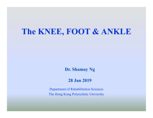 Lecture 2 (Knee Ankle Foot)(2019)