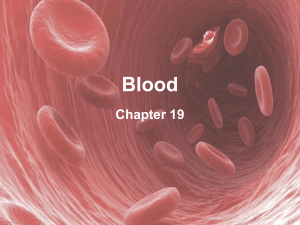 19 Blood F21(1)