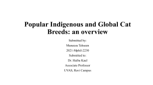 Popular Indigenous and Global Cat Breeds