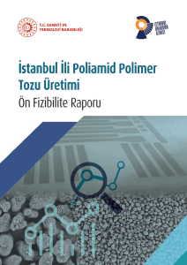 stanbul-ili-poliamid-polimer-tozu-uretimi-on-fizibilite-raporu