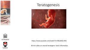 Teratogenesis Presentation