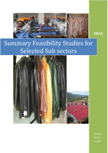 3. Summary Feasibility Studies for Selected sub Sectors (1)
