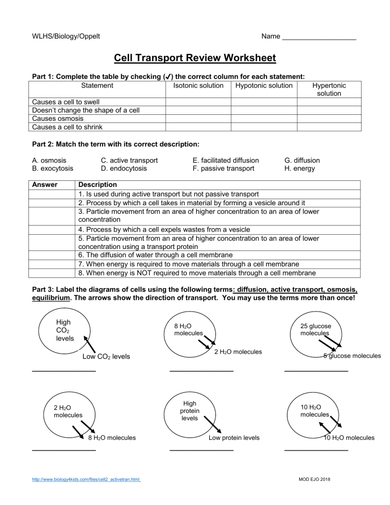 HANDOUT Cell Transport Review Worksheet