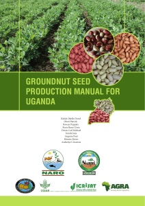 Publication Okello UGA203 Deom 2015 Groundnut Seed Production Manual for Uganda