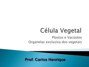 Celula vegetal -2