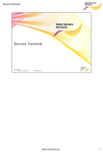 282916196-Service-Terminal-in-FlexiBSC 2