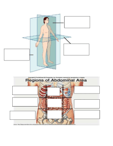 Body planes and abdominal regions charts