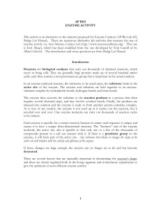 ap bio enzyme Catalase Lab AP 