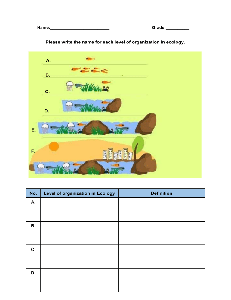 Levels Of Organization Worksheet