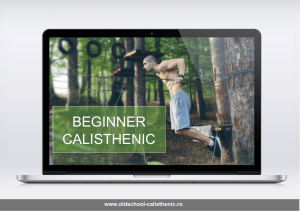 Beginner calisthenic