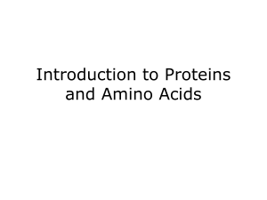 Introduction to proteins and amino acids