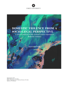 Domestic Violence from a Socio-Legal Perspective