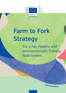 f2f action-plan 2020 strategy-info en