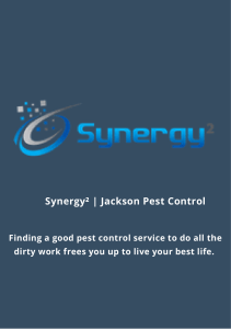  Synergy²  Jackson Pest Control (1)