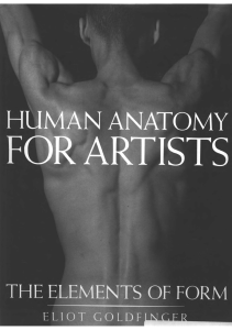 Eliot Goldfinger - Human Anatomy for Artists