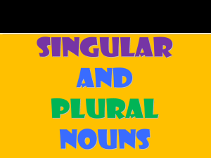 Singular and Plural Nouns-1