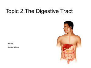 GI TRACT NOTES