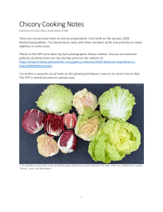 Chicory Cooking Notes
