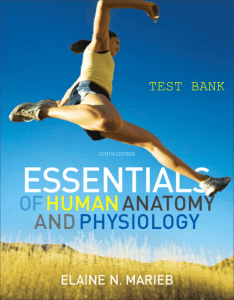 200075857-Marieb-Essentials-of-Human-Anatomy-Physiology-10th-Test-Bank