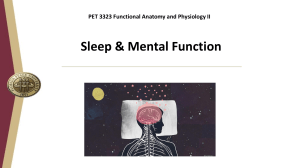 Lecture 1 - Sleep-1